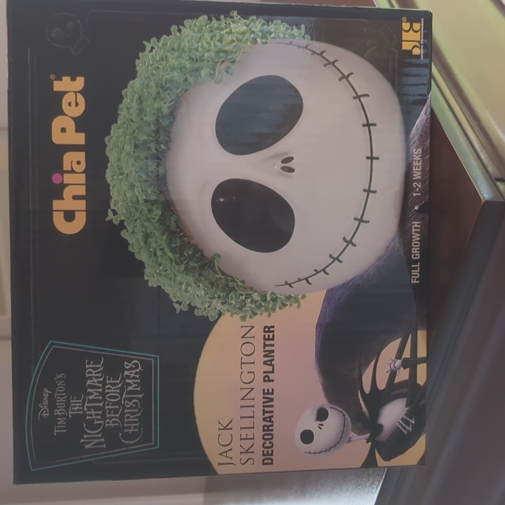 Jack Skellington Chia Pet